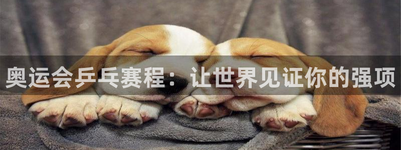奥运会乒乓赛程：让世界见证你的强项