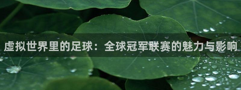 HB火博app官网：虚拟世界里的足球：全球冠军联赛的魅力与影