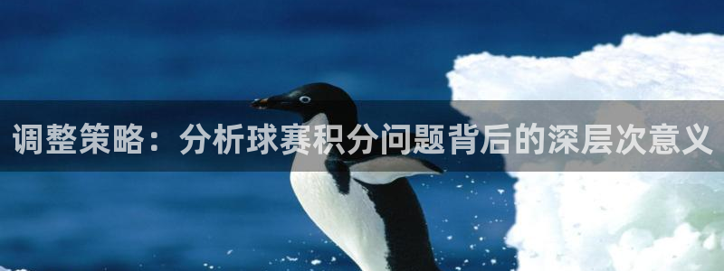 HB火博·(中国)体育：调整策略：分析球赛积分问题背后的深层