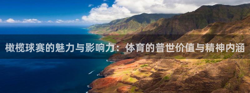 HB火博·体育：橄榄球赛的魅力与影响力：体育的普世价值与精神