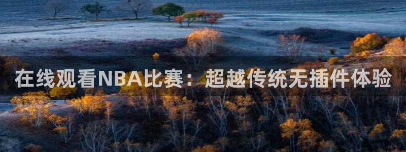 9255tv直播无插件nba