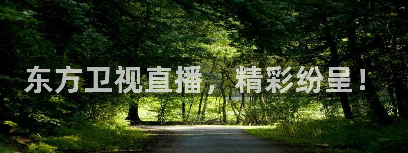 9255tv直播nba在线直播