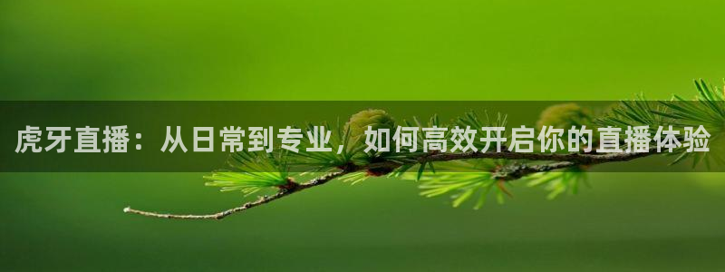 9255tv直播无插件nba