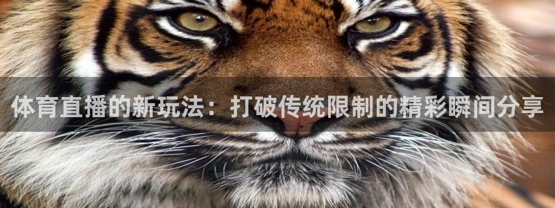 9255tv直播nba在线观看